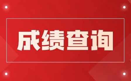 2025年九江理工職業(yè)學院單招成績查詢入口
